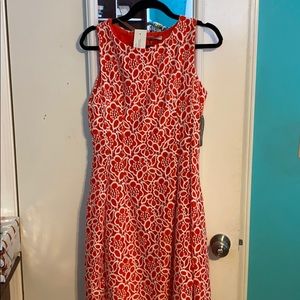 NWT Eva Mendes NY Dress Orange & White sz 6